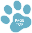 PAGE-TOP